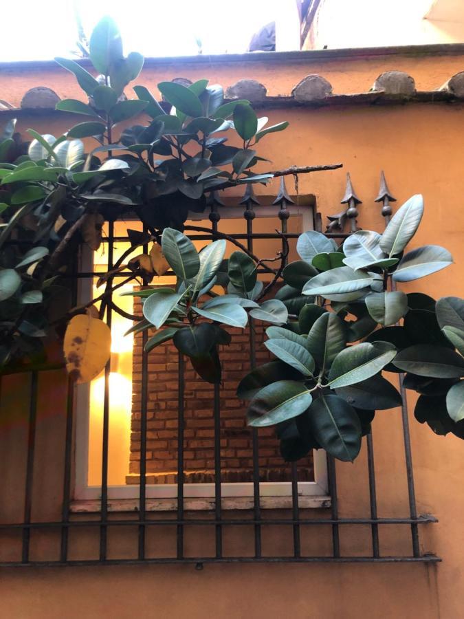 דירות רומא Pantheon, Campo De Fiori Mini Garden מראה חיצוני תמונה