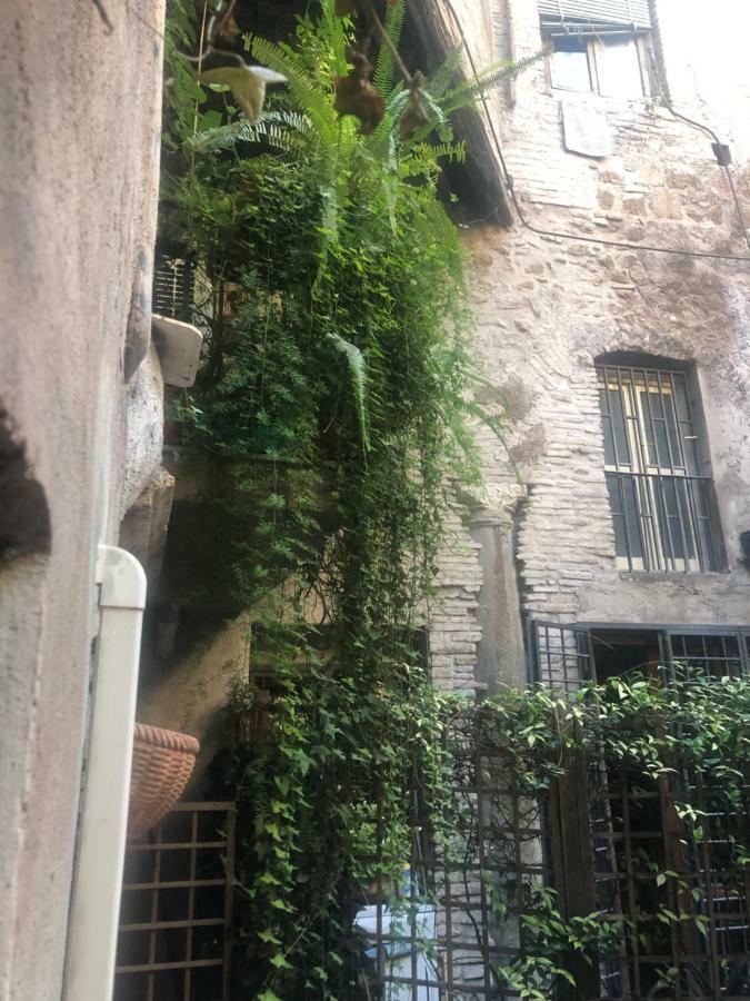 דירות רומא Pantheon, Campo De Fiori Mini Garden מראה חיצוני תמונה